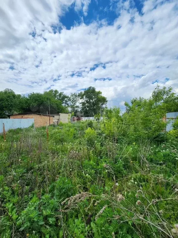 Участок 6,5 сот. (ИЖС) - Фото 1