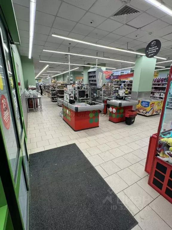 Торговая площадь в Алтай, Горно-Алтайск Проточная ул., 10/1к3 (500 м) - Фото 2