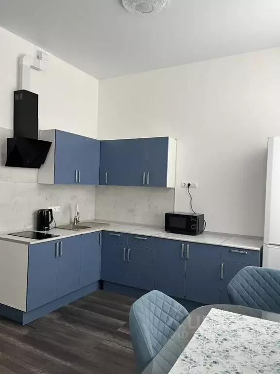 Студия Московская область, Подольск городской округ, д. Борисовка ул. ... - Фото 2