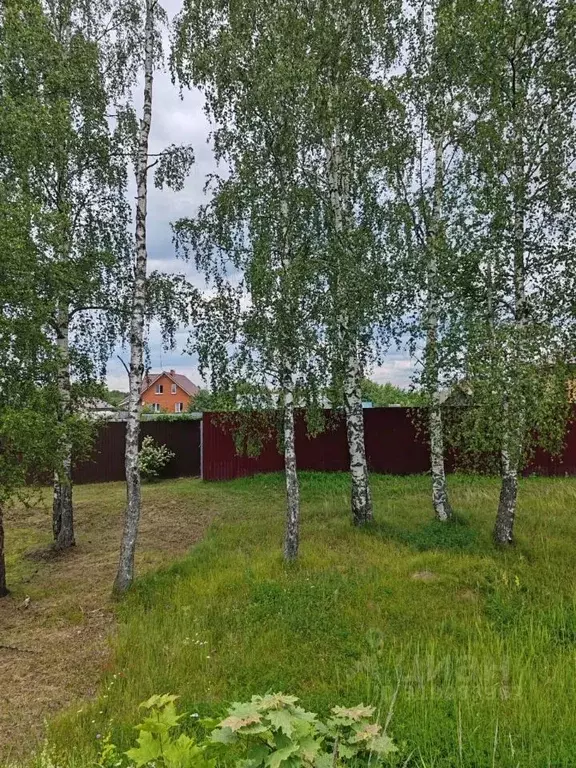 Участок в Московская область, Орехово-Зуевский городской округ, д. ... - Фото 0
