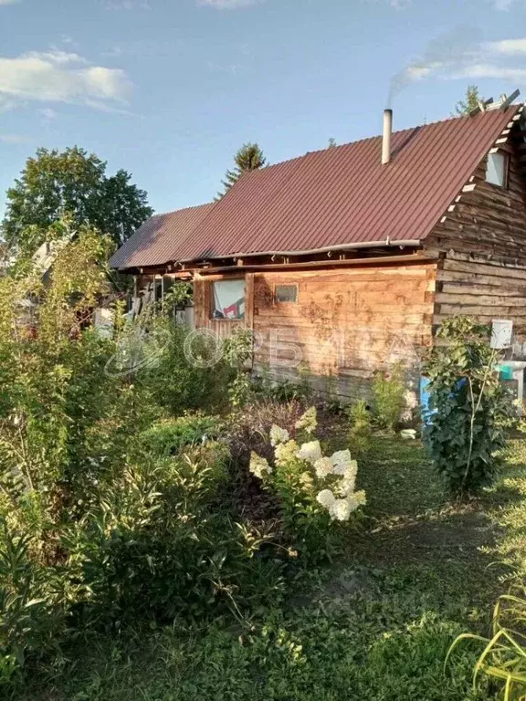 Участок в Тюменская область, Тюмень Автомобилист СНТ, ул. Луговая, 196 ... - Фото 1