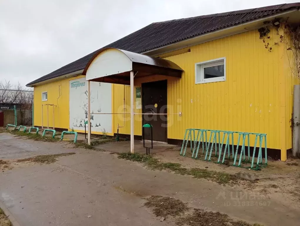 Торговая площадь в Волгоградская область, Даниловка рп ул. ... - Фото 1