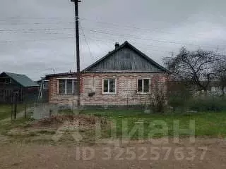 Дом в Псковская область, Плюсский муниципальный округ, д. Андромер ул. ... - Фото 1