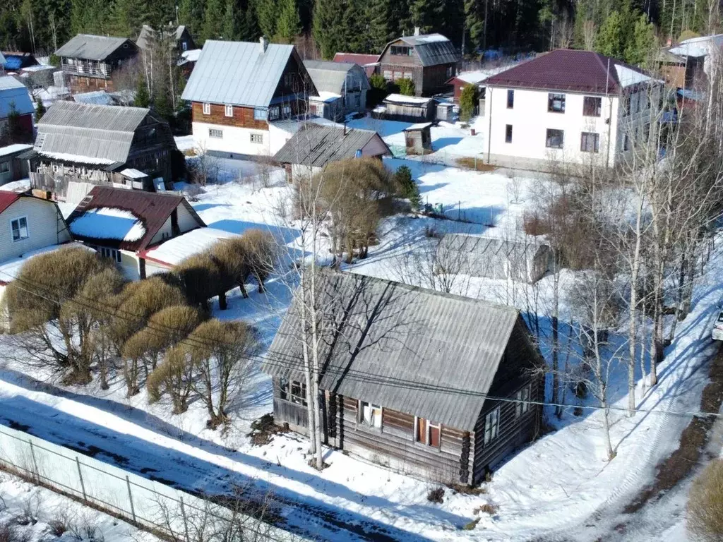 Участок в Ленинградская область, Выборгский район, Красносельское ... - Фото 2