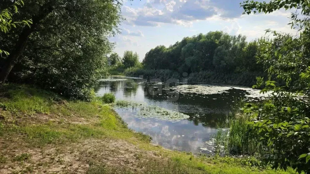 Дом в Воронежская область, с. Новая Усмань  (100 м) - Фото 1