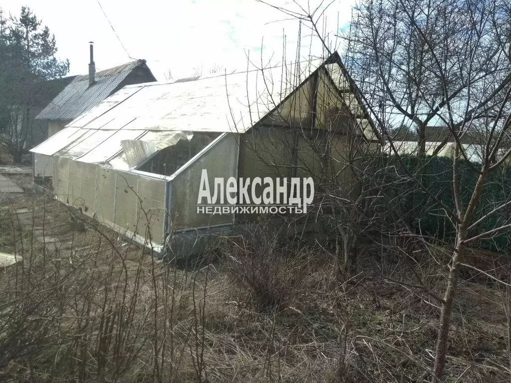 Участок в Волхов, садоводческое некоммерческое товарищество Труженик ... - Фото 2