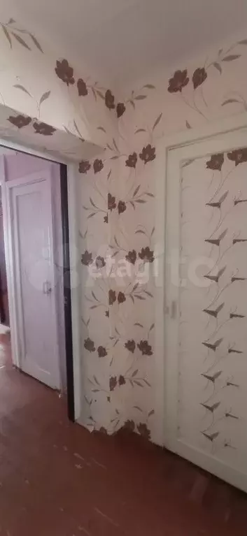 3-к. квартира, 55,6 м, 3/5 эт. - Фото 1