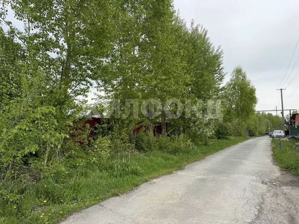 Участок в Новосибирская область, Новосибирский район, Станционный ... - Фото 0