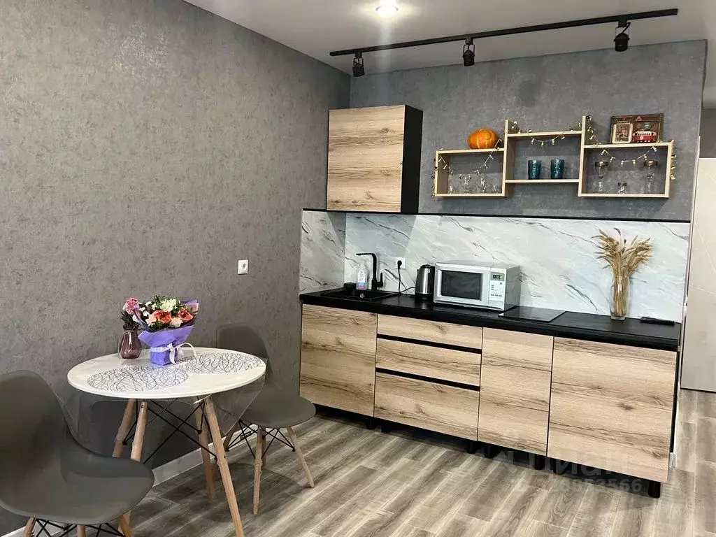 Студия Башкортостан, Уфа Кремлевская ул., 50/1 (30.0 м) - Фото 2