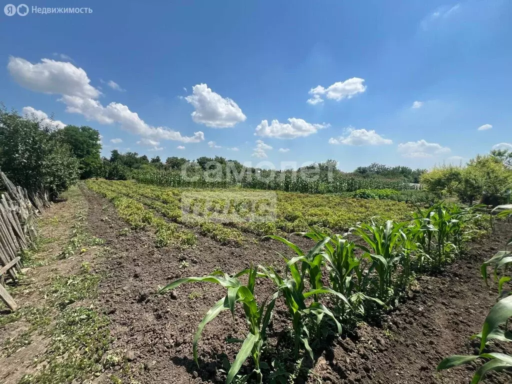 Дом в станица Платнировская, Хлеборобская улица, 108 (57.3 м) - Фото 1