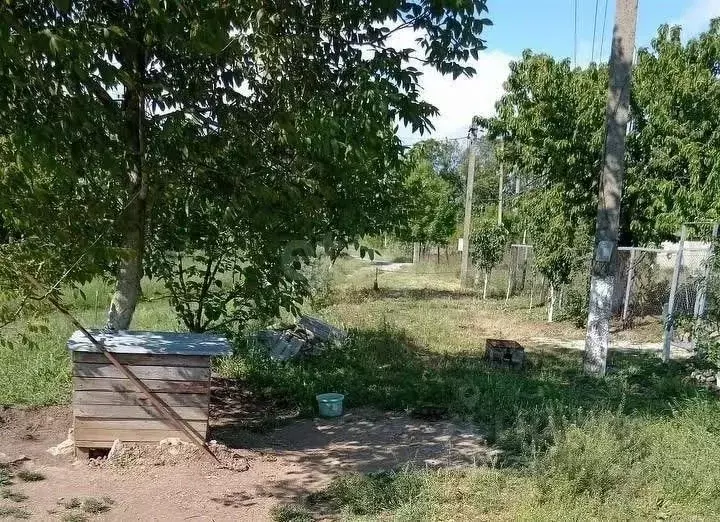 Участок в Краснодарский край, Анапа муниципальный округ, с. Джигинка ... - Фото 1