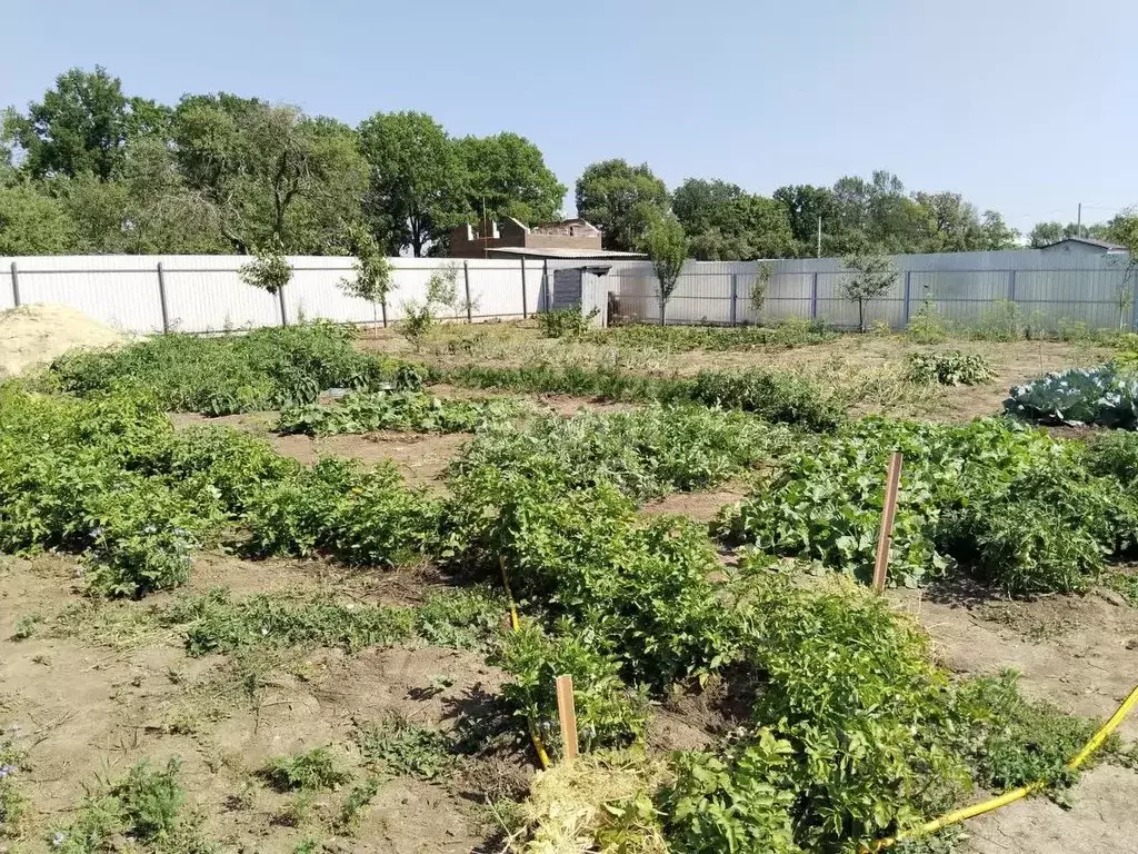 Участок в Белгородская область, Шебекинский муниципальный округ, пос. ... - Фото 1