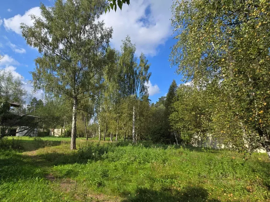 Участок в Московская область, Солнечногорск городской округ, Андреевка ... - Фото 2