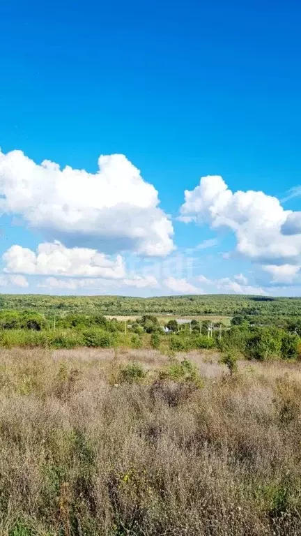 Участок в Краснодарский край, Новороссийск Золотая рыбка СНТ, 518 (8.0 ... - Фото 2