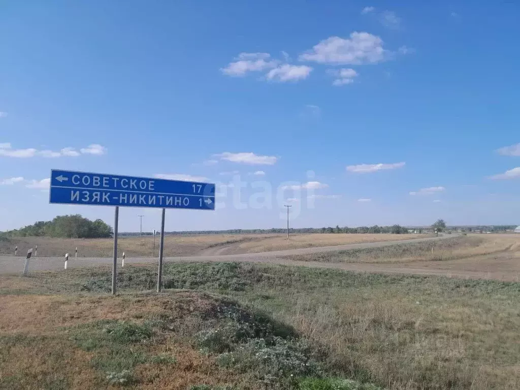 Участок в Оренбургская область, Саракташский район, Черноотрожский ... - Фото 2