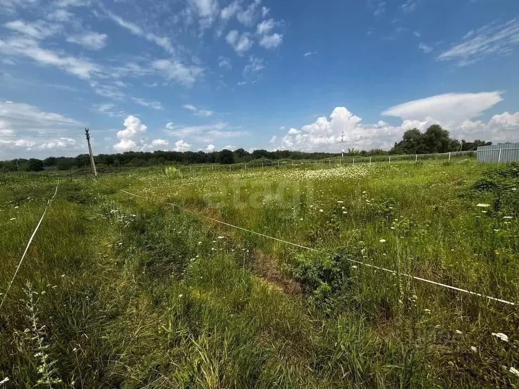Участок в Воронежская область, Семилукский район, Губаревское с/пос, ... - Фото 2