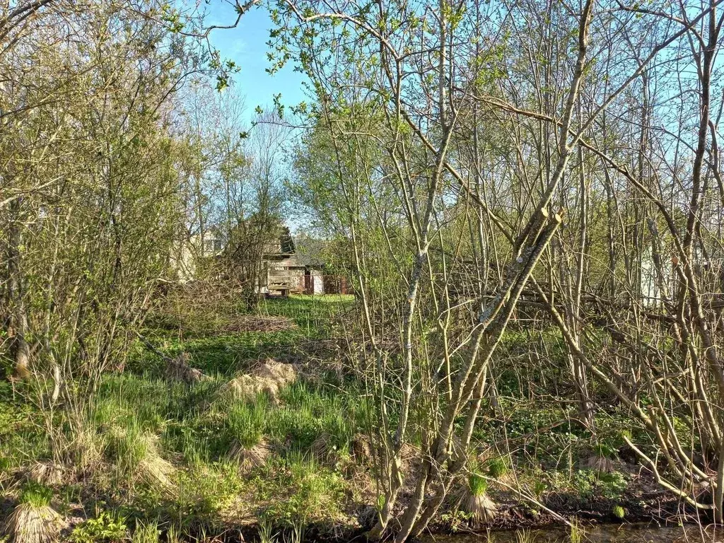 Участок в Ленинградская область, Кировский район, Мгинское городское ... - Фото 1