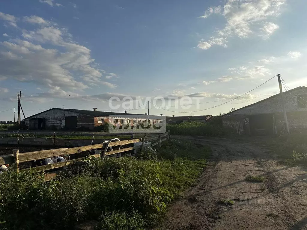Производственное помещение в Курская область, Медвенский район, ... - Фото 1