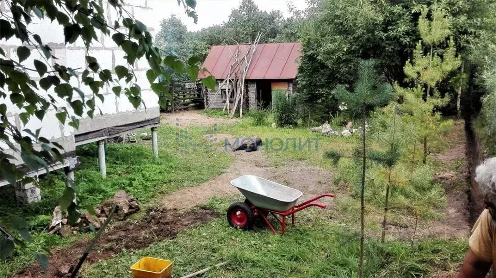 Участок в Нижегородская область, Павловский район, д. Кишкино Нагорная ... - Фото 2