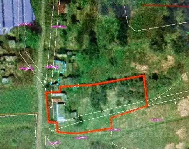 Участок в Саратовская область, Новобурасское муниципальное ... - Фото 1