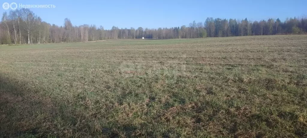 Участок в Череповецкий район, муниципальное образование Югское, село ... - Фото 0