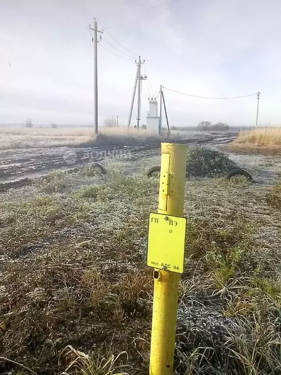 Участок в Чувашия, Чебоксарский муниципальный округ, Абашевское с/пос  ... - Фото 2