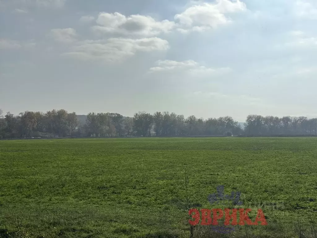 Участок в Краснодарский край, Крымск  (2200.0 сот.) - Фото 2