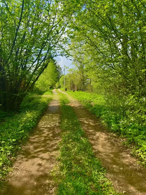 Участок в Московская область, Клин городской округ, Авангард садовое ... - Фото 1