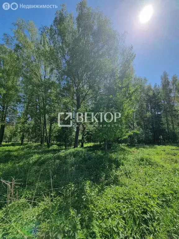 Участок в Иваново, переулок Крылова (7.6 м) - Фото 2