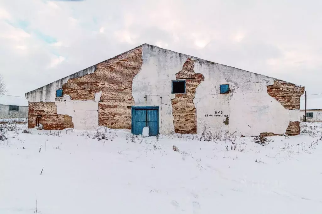 Помещение свободного назначения в Омская область, Горьковский район, ... - Фото 1