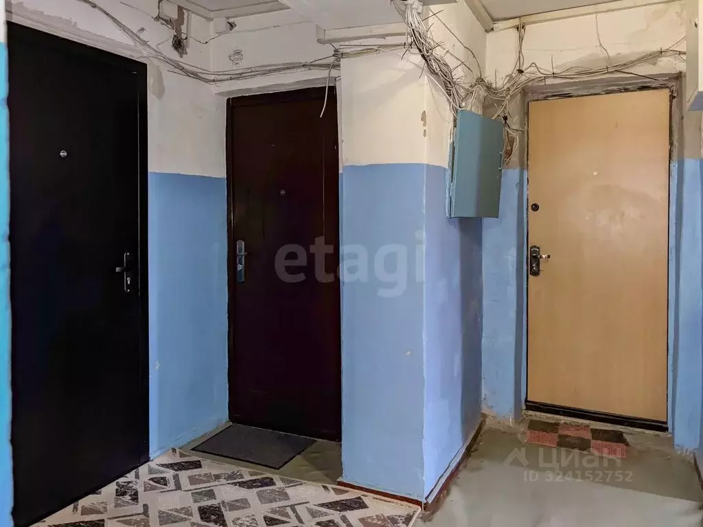 Комната Псковская область, Псков ул. Киселева, 8 (17.2 м) - Фото 1