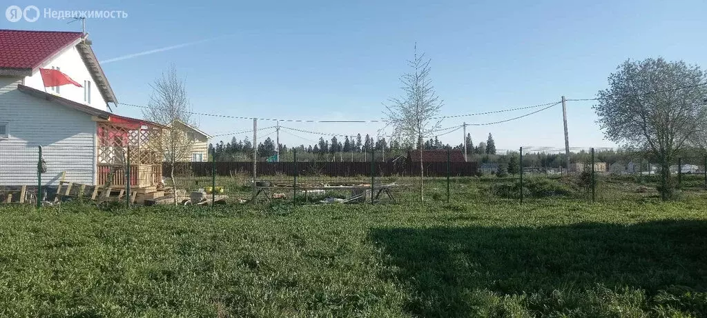 Участок в Волосовский район, деревня Клопицы (21 м) - Фото 1