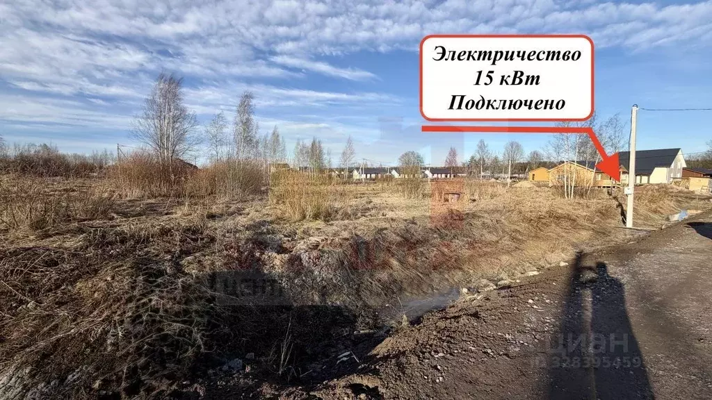 Участок в Ленинградская область, Ломоносовский район, Пениковское ... - Фото 2