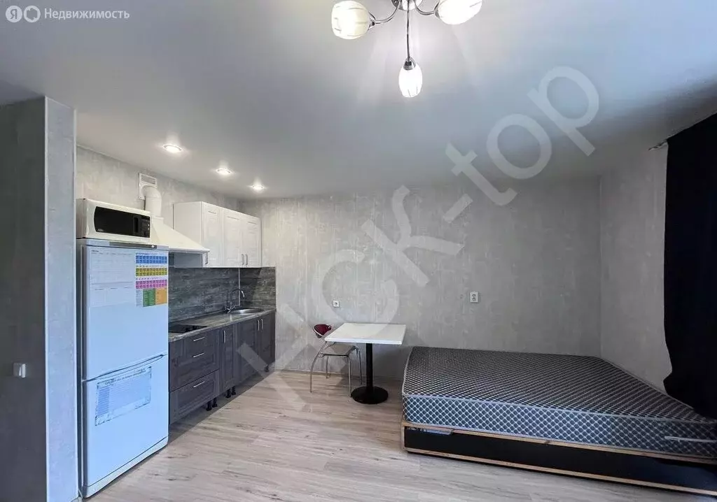 Квартира-студия: Новосибирск, Большевистская улица, 98 (29.8 м) - Фото 2