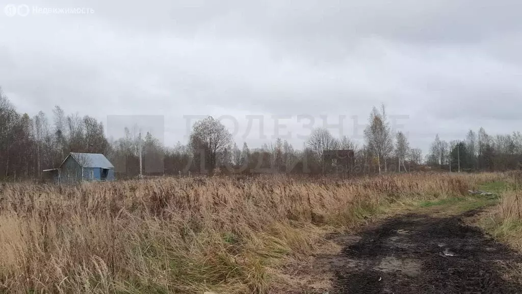 Участок в Новгородский район, Ермолинское сельское поселение, деревня ... - Фото 1