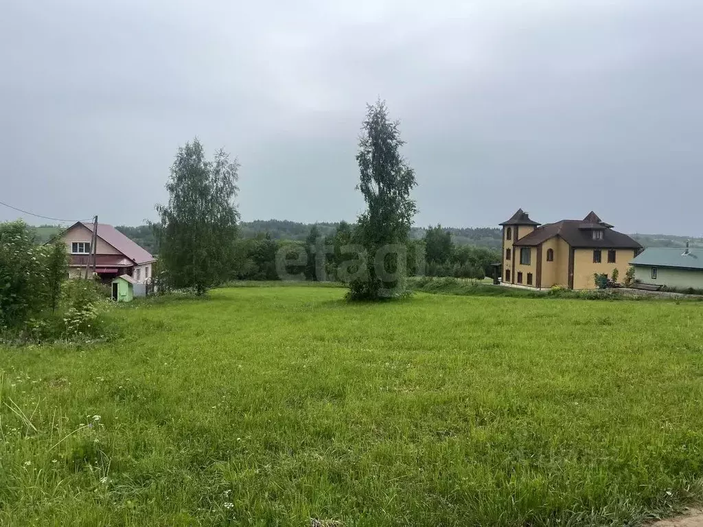 Участок в Вологодская область, Шекснинский муниципальный округ, ... - Фото 1