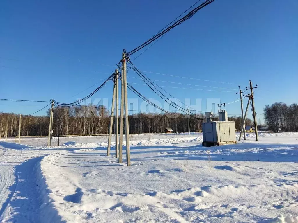 Участок в Новосибирская область, Новосибирский район, Криводановский ... - Фото 2