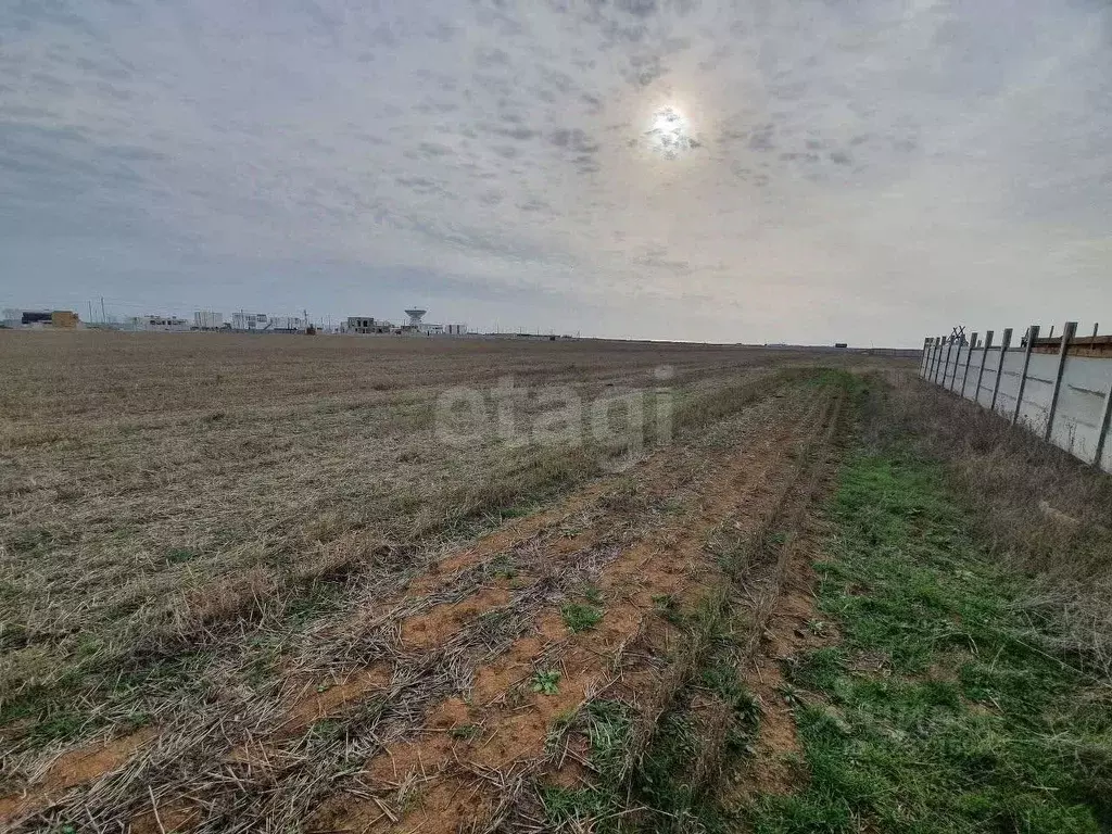 Участок в Крым, Сакский район, Молочненское с/пос, с. Витино  (6.0 ... - Фото 1