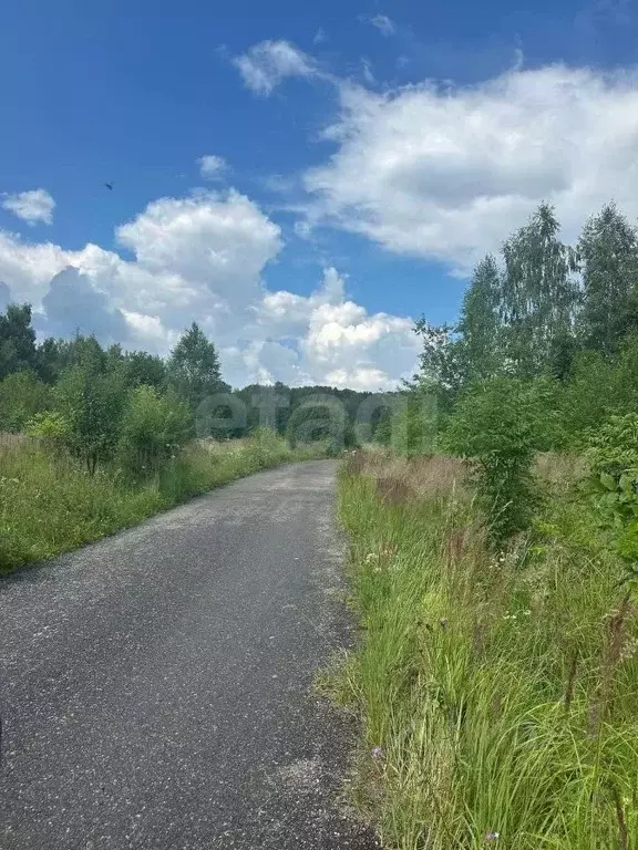 Участок в Калужская область, Жуковский район, Совхоз Чаусово с/пос, ... - Фото 2