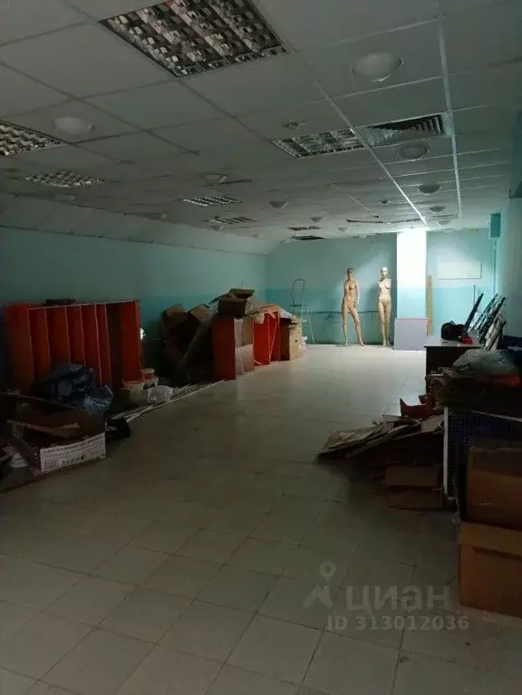 Помещение свободного назначения в Волгоградская область, Волгоград ... - Фото 1