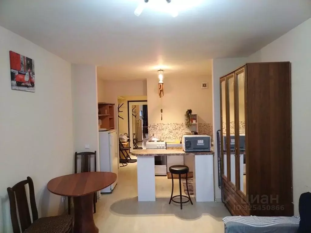 Студия Санкт-Петербург просп. Металлистов, 117 (26.0 м) - Фото 1