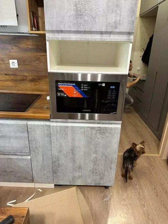 Студия Краснодарский край, Анапа Пионерский просп., 57к3 (27.3 м) - Фото 1