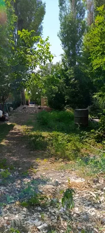 Участок в Краснодарский край, Новороссийск городской округ, ... - Фото 1