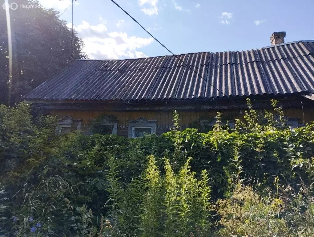 Дом в Бураково, Лесная улица, 45 (51 м) - Фото 0