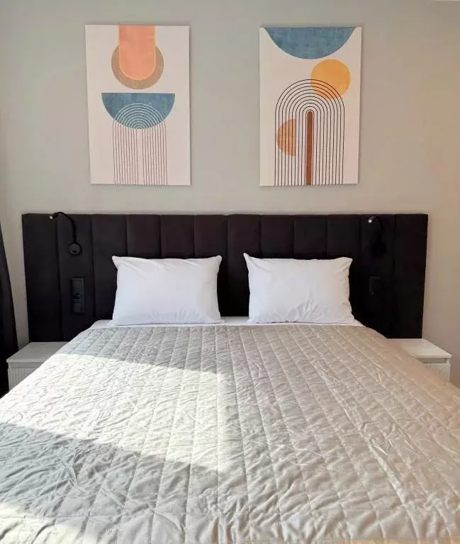 1-к кв. Санкт-Петербург просп. Энергетиков, 2к2 (22.0 м) - Фото 2