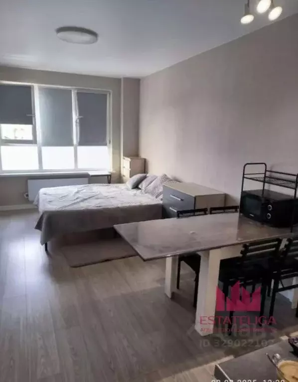 Студия Московская область, Ленинский городской округ, Лопатино пгт ул. ... - Фото 2