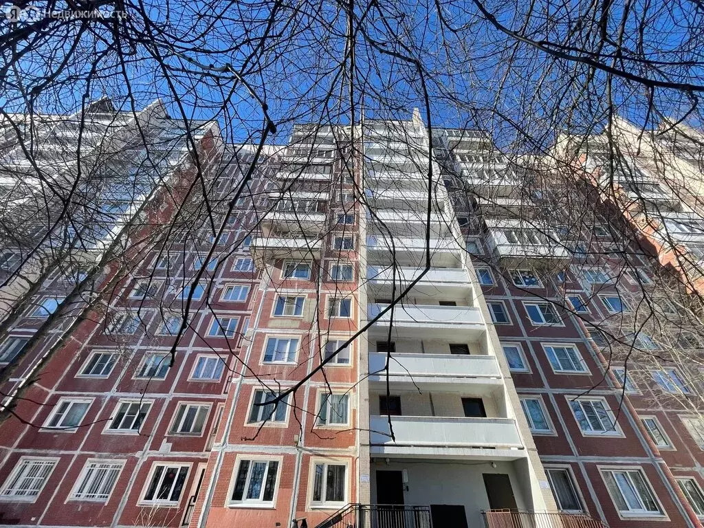 1-комнатная квартира: Санкт-Петербург, проспект Луначарского, 37к2 ... - Фото 2