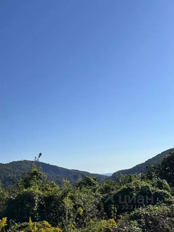 Участок в Краснодарский край, Сочи городской округ, с. Хлебороб ул. ... - Фото 2