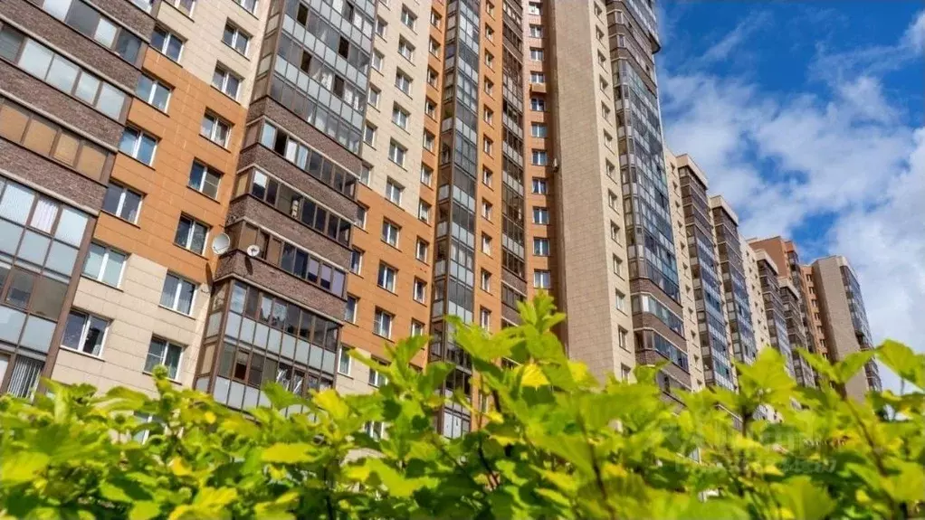 1-к кв. Санкт-Петербург просп. Королева, 65 (39.0 м) - Фото 1