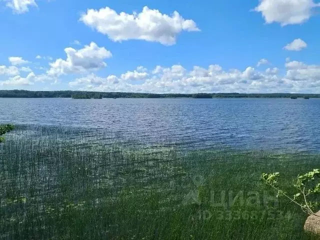 Участок в Ленинградская область, Выборг проезд Малый Лесной, 2 (100.0 ... - Фото 2
